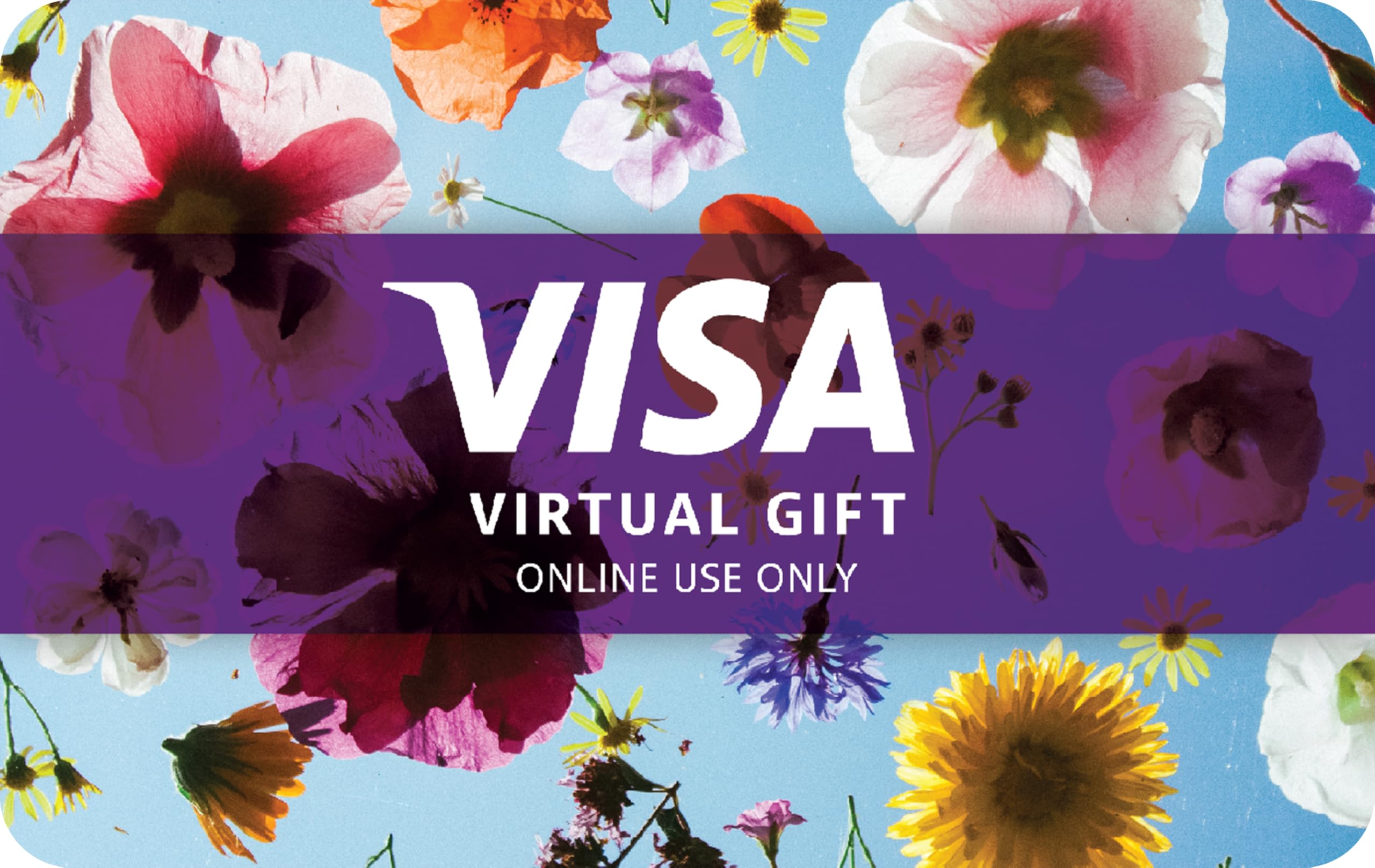 Visa Virtual eGift Card - $200 (plus $6.95 Purchase Fee) | For Online Use Only